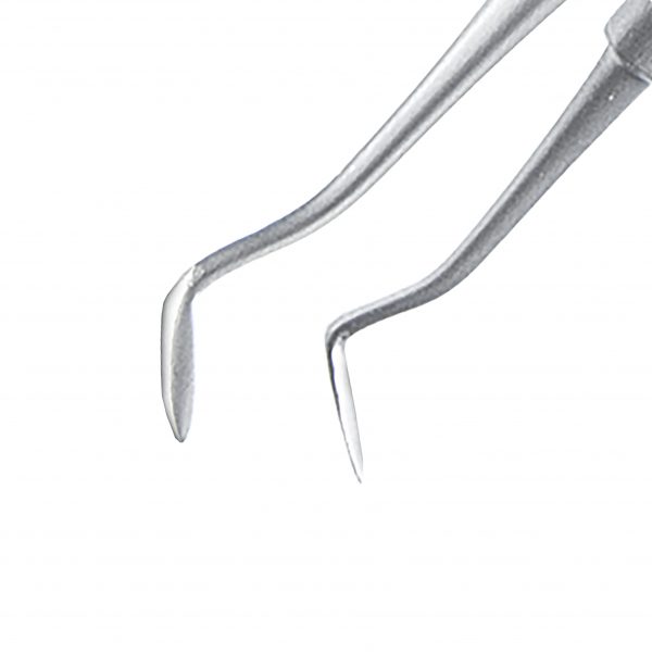 Tandsteen verwijderaar 17 cm – 25 stuks - Afbeelding 2